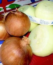 CEBESTUR,S.L. imagen 2