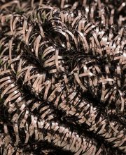 Recuperaciones Galan S.l imagen 6