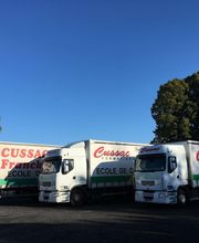 Cussac Formations image 11