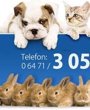 Dr. Astrid Klein Tierärztin in Weilburg bei Limburg Bild 2