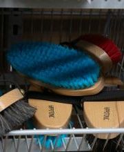 Habekost Heimtiermarkt Bild 5