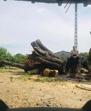 Julien Machefer Elagage EI image 2