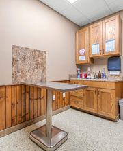 State Road Animal Hospital image 2