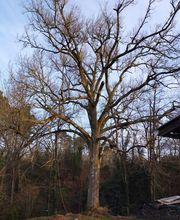 Beaudout Raphael image 14