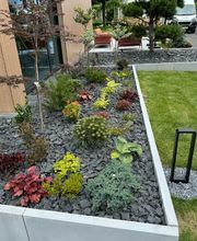 Daily Gartenpflege Bild 9