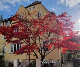 Maler Wörtz Bild 12