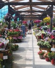 Jouglas Julien image 1