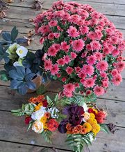 Christophe Abel Paysage image 1