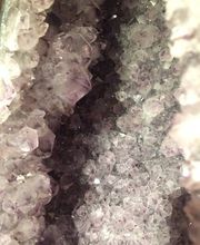 Eva Patzak - Hebamme, Doula-Seminare, Yoga & Homöopathie am Kranichhof Wildschütz Bild 1