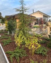 Amsler Gartenbau GmbH Bild 2