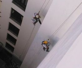226936045-1-wBSqnD1OG21618834915747.jpeg