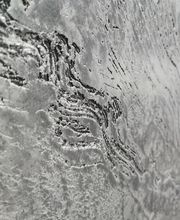 Malerbetrieb P. Hollmann M. Homeier GmbH & CoKG Bild 4