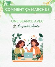 La Petite Plante image 6