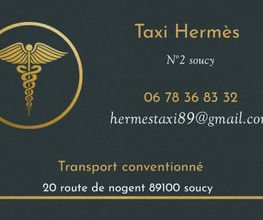 Taxi Hermès image 2