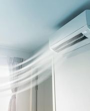 Estoppey Patrick Bild 4