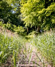 Herrenhaus Samow Bild 11