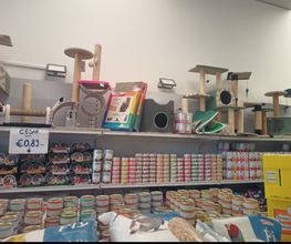 Gallery Cliente