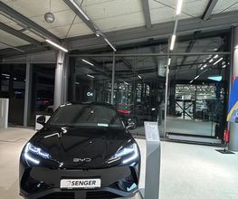 BYD | Senger Bild 3