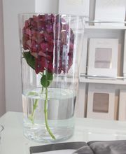 Medorma Bettenhaus GmbH