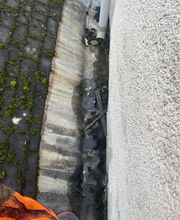 Artisan Yung image 3