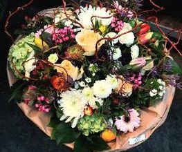Blumen Dahlmann Bild 5