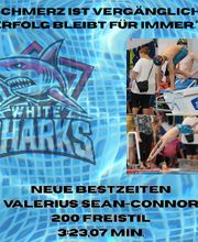 White Sharks e.V. Bild 3