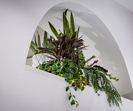 Opticien Grenoble - Optic 2000 image 18