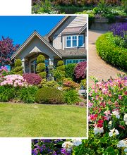 Nueva Vista Landscaping and Irrigation Systems LLC image 1