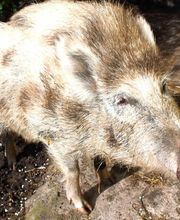 Lippold Stiftung Bild 6