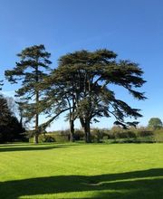 Hôtel Château De Sully image 10