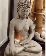 CARPY COIFFEUR image 8