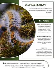 NOCIBILIS Désinfection Sàrl Bild 4