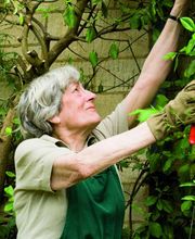 Présence Verte image 2