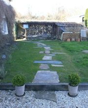 Fougère Bleue La image 4