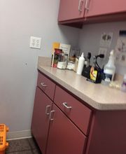 Grant Animal Clinic image 7