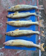 Legend Valley Outfitters image 11