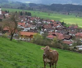 FeWo Schlichtherle Bild 3