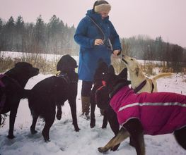MEHR Hundeschule Bild 16
