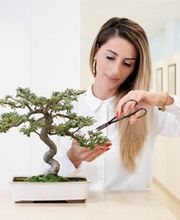 Privatbank Von Graffenried AG Bild 4