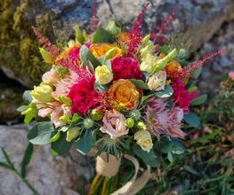 Hellebore image 2