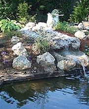 PEPINIERES WOHLGEMUTH image 4