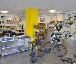 Velo Kretschmann Liebefeld Bild 12