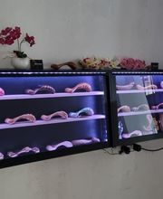 Idée du désir image 2