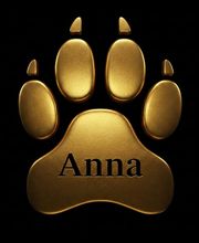 Anna der Salon mit Herz und Verstand Bild 5