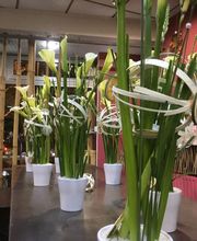 Fleurs et Tendances image 17