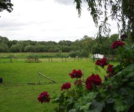 VakantieMeerlo Herenhuis Tuin