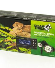 la ferme aux coleos image 4