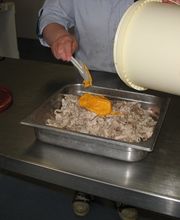 Schot Kwaliteits Vishandel - A Quist