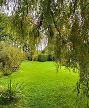 La Mouillère image 1