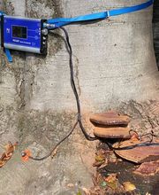 Pasinelli cura alberi Sagl Bild 5